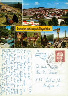 Freyung Mehrbild-AK Ort Im Deutschen Nationalpark Bayer. Wald 1972 - Freyung