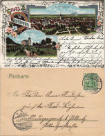 Litho AK Radeburg Bismarckhöhe, Panorama-Ansicht, Gruss-Aus-Litho-AK 1904 - Otros & Sin Clasificación