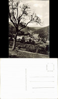 Ansichtskarte Bad Herrenalb Panorama-Ansicht 1960 - Bad Herrenalb