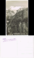 Cortina D'Ampezzo RIFUGIO RISTORANTE STAZIONE FUNIVIA AL FALORIA (2120) 1940 - Andere & Zonder Classificatie