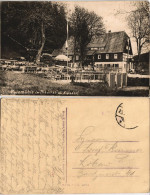 Ansichtskarte Oberpöbel-Dippoldiswalde Gasthaus Putzmühle - Garten 1931 - Dippoldiswalde