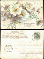 Ansichtskarte  Blumenstrauss - Künstlerkarte 1903 - Peintures & Tableaux