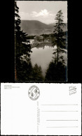 Ansichtskarte Seebach MUMMELSEE Im Nördl. Hochschwarzwald 1960 - Other & Unclassified