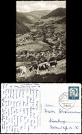 Münstertal/Schwarzwald Panorama-Ansicht Von Der Kuhweide Aus 1963 - Muenstertal