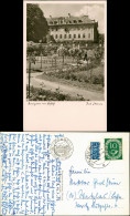 Ansichtskarte Insel Mainau-Konstanz Rosengarten Mit Schloß 1953 - Konstanz