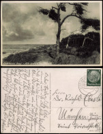 Postcard Treptower Deep / Regamünde Mrzeżyno Kiefern Am Strand 1938 - Pommern