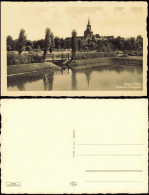 Postcard Belgard An Der Persante Białogard Partie Am Mückepark 1929 - Pommern