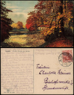 Postcard Dresden Großer Garten Im Herbst Photochromie Stimmungsbild 1919 - Dresden