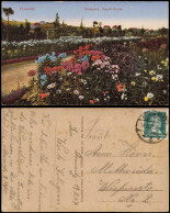Ansichtskarte Chemnitz Stadtpark, Staude-Garten 1927 - Chemnitz