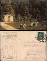 Kuhschnappel St. Egidien  Etablissement Waldfrieden 1928   Bahnpost - Otros & Sin Clasificación