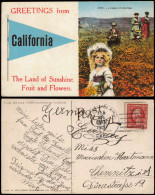 Kalifornien California The Land Of Sunshine, Fruit And Flowers 1913 - Other & Unclassified