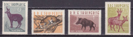 AL25 – ALBANIA – 1962 – ALBANIAN ANIMALS – Y&T # 597/600 MNH 35 € - Albania