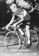 PHOTO CYCLISME REENFORCE GRAND QUALITÉ ( NO CARTE ), JESUS GALDEANO TEAM FAEMA 1960 - Radsport
