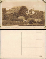 Ansichtskarte Zschöppichen-Mittweida Partie Bei Burg Neusorge 1928 - Mittweida