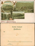Litho AK Schwarzburg   Panorama-Ansichten, Schloss Trippstein, Hirschwiese 1900 - Otros & Sin Clasificación