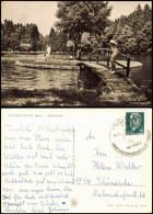 Ansichtskarte Hasselfelde Waldseebad 1971 - Other & Unclassified