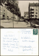 Ansichtskarte Seelow Wohnbauten I.d. Erich-Weinert-Straße Zur DDR-Zeit 1970 - Autres & Non Classés