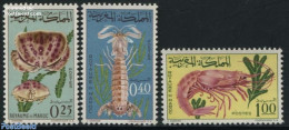 Morocco 1965 Marine Life, Crabs 3v, Mint NH, Nature - Shells & Crustaceans - Crabs And Lobsters - Maritiem Leven