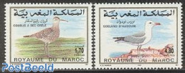 Morocco 1994 Birds 2v, Mint NH, Nature - Birds - Autres & Non Classés