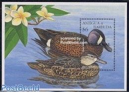 Barbuda 1997 Ducks S/s, Mint NH, Nature - Birds - Ducks - Barbuda (...-1981)