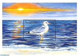Gambia 1999 California Seagull S/s, Mint NH, Nature - Birds - Gambie (...-1964)