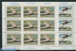 Yugoslavia 1991 European Nature Conservation 2 M/ss, Mint NH, History - Nature - Europa Hang-on Issues - Birds - Insects - Ungebraucht