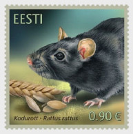 2020 1038 Estonia Fauna - The Black Rat MNH - Estonie