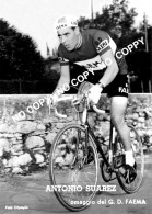 PHOTO CYCLISME REENFORCE GRAND QUALITÉ ( NO CARTE ), ANTONIO SUAREZ TEAM FAEMA 1960 - Radsport