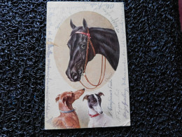 Illustrateur Carl Reichert, Tête De Cheval Noir Et 2 Lévriers    (A21) - Horses