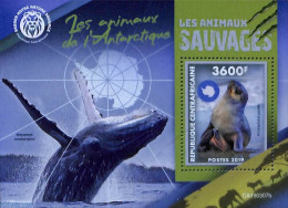 Central Africa 2019 Antarctic Animals S/s, Mint NH, Nature - Science - Sea Mammals - The Arctic & Antarctica - Centrafricaine (République)