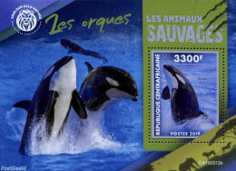 Central Africa 2019 Killer Whale S/s, Mint NH, Nature - Sea Mammals - Centraal-Afrikaanse Republiek