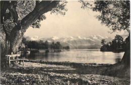 Seepromenade Bei Thun - Thun