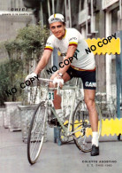 PHOTO CYCLISME REENFORCE GRAND QUALITÉ ( NO CARTE ), AGOSTINO COLETTO TEAM GHIGI 1960 - Cyclisme