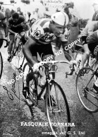 PHOTO CYCLISME REENFORCE GRAND QUALITÉ ( NO CARTE ), PASQUALE FORNARA TEAM EMI 1960 - Cyclisme