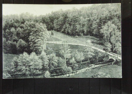 AK Vom Seifhennersdorfer Tal -Kte Von Der Gräfl. V. Brühlsche Marienmühle -BP-St. DRESDEN LÜBBENAU ZUG 894 Vom 1.5.1926 - Seifhennersdorf