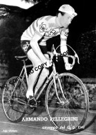 PHOTO CYCLISME REENFORCE GRAND QUALITÉ ( NO CARTE ) ARMANDO PELLEGRINI TEAM EMI 1960 - Radsport