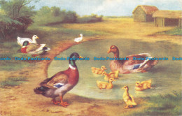 R118829 Old Postcard. Ducks. Salmon - Monde