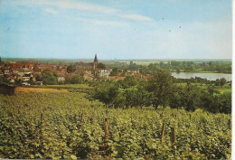 58 - Pouilly Sur Loire - Vue Générale Prise Des Vignobles   **CPM Vierge  ** - Pouilly Sur Loire