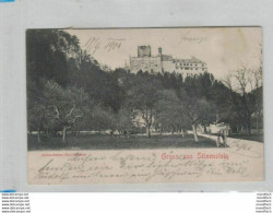 Stixenstein 1900 - Burg - Mann Mit Fahrrad - Ternitz - Sonstige & Ohne Zuordnung