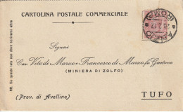 Italy. A217. Anzio. 1917. Annullo Guller ANZIO (ROMA), Su Cartolina Postale Commerciale - Poststempel