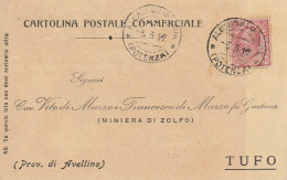 Italy. A217. Albano Di Lucania. 1917. Annullo Guller ALBANO DI LUCANIA (POTENZA), Su Cartolina Postale Commerciale - Poststempel