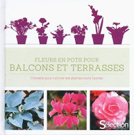 Fleurs En Pots Pour Balcons Et Terrasses - Autres & Non Classés