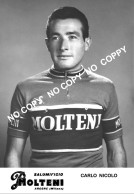 PHOTO CYCLISME REENFORCE GRAND QUALITÉ ( NO CARTE ) CARLO NICOLO TEAM MOLTENI 1960 - Radsport