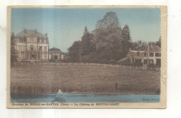 Environs De Mesle Sur Sarthe, Le Chateau De Montgoubert - Sonstige & Ohne Zuordnung