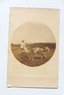 Carte Photo ~ USA ~  Jeune Femme En Voiture à Cheval à Grandes Roues Tirée Par Un Appaloosa  ~ Carte Précurseur 1907 - Sonstige & Ohne Zuordnung