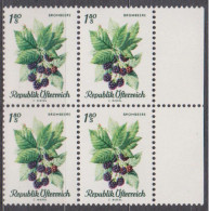 1966 , Mi 1226 ** (2) -  4er Block Postfrisch - Einheimische Obstsorten - Nuevos