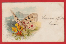 AB174 FANTAISIES PAPILLON RAPHAEL TUCK - Schmetterlinge