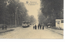 Bonsecours   La Foret Arrivée Du Tramwai De Valenciennes  (Peruwelz) - Peruwelz