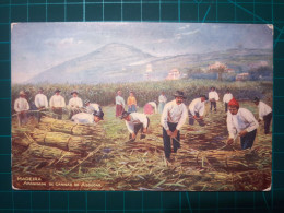 CARTE POSTALE, Art, Fragments De La Vie Rurale De L'Homme Et De La Femme Du Pays. Tâches Agraires, Folklore Et Coutumes - Boerderijen