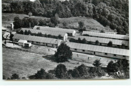 TREIGNAC - Colonie De Chingeat - Treignac